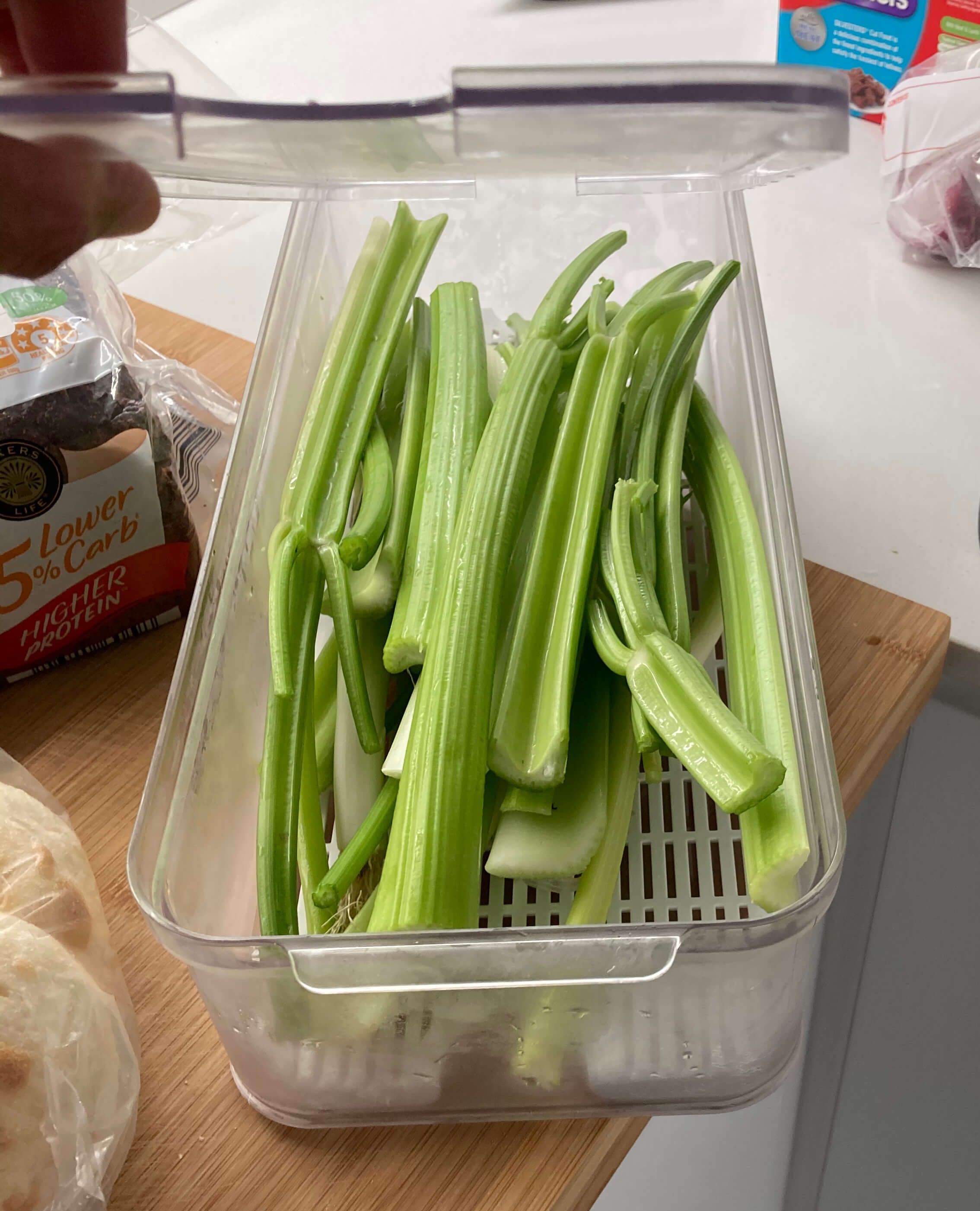 celery container for clean and organised fridge