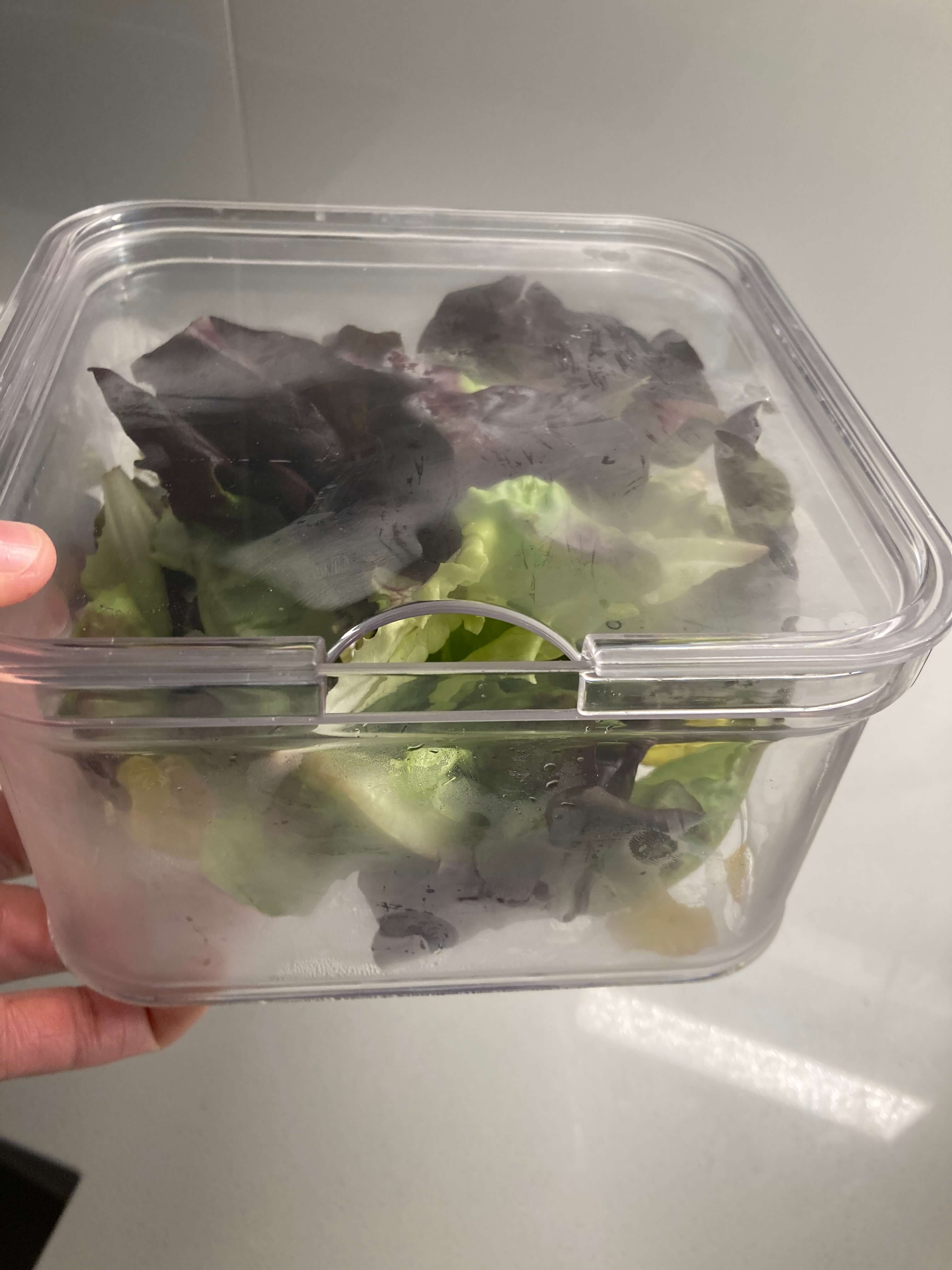 lettuce container for clean and organised fridge