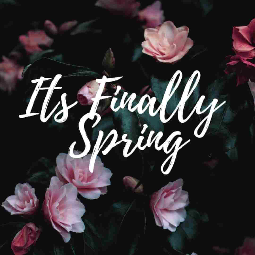 Its finally spring graphic for its the weekend post