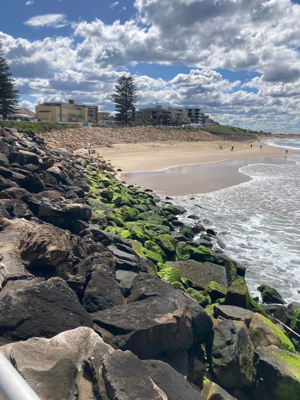 cronulla beach