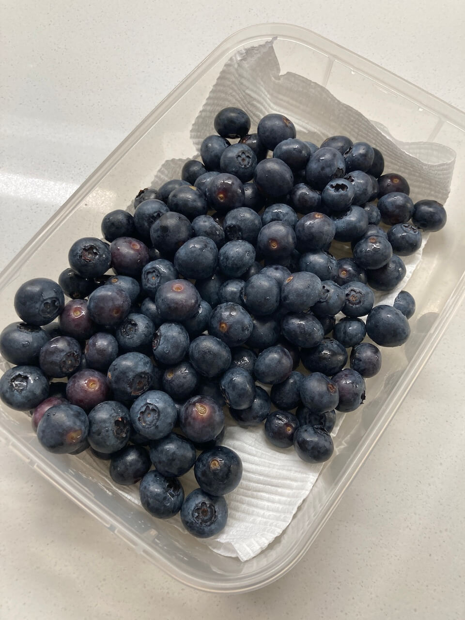 blueberries for september2022 post