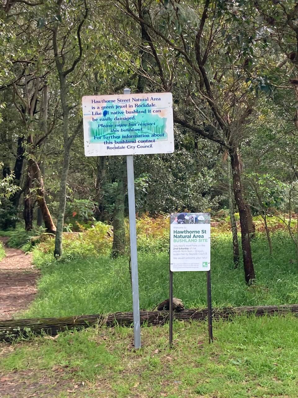 walking track for term four