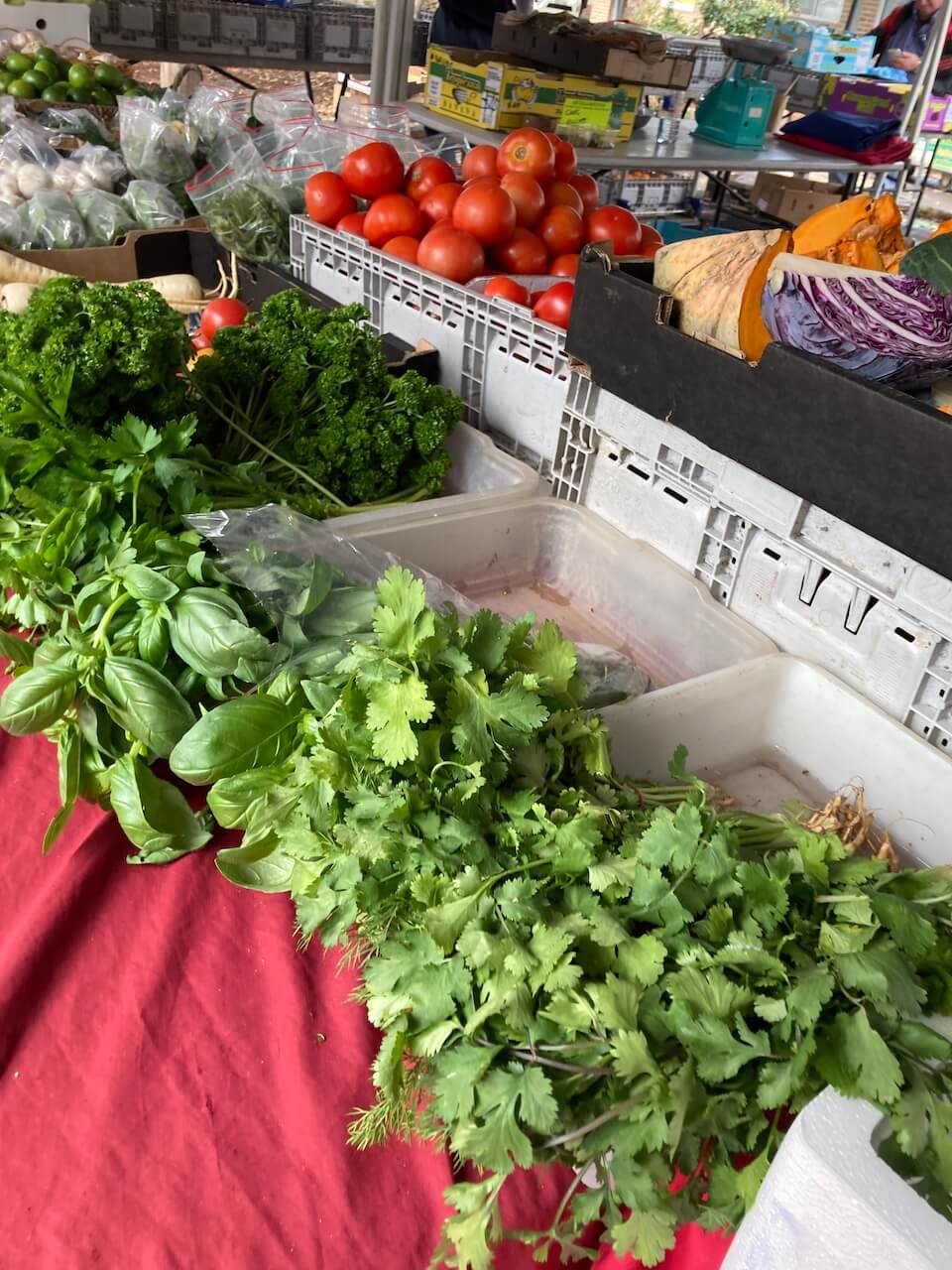 farmers market for term four