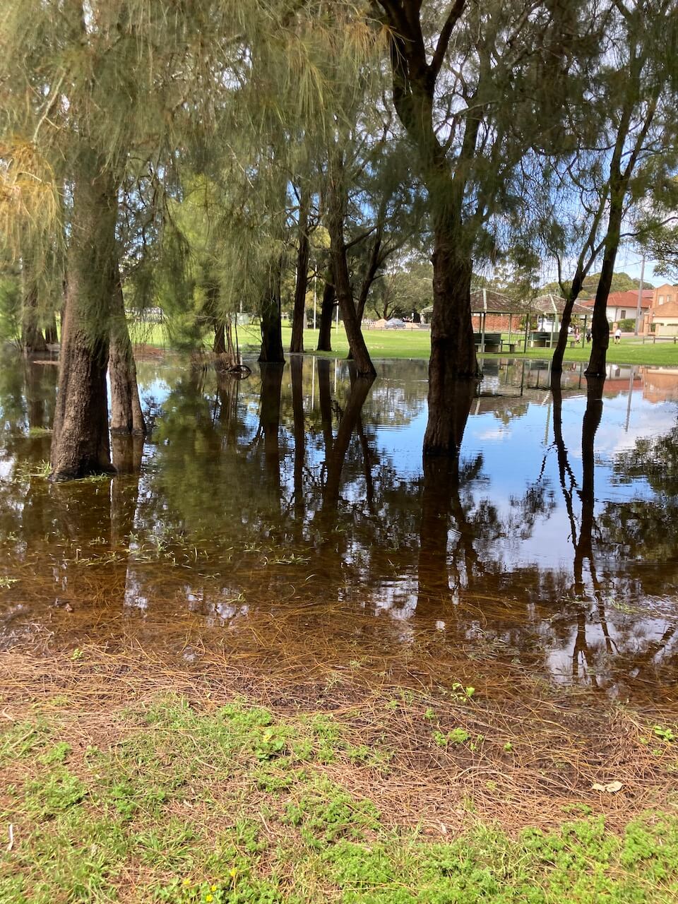 term four rainy days