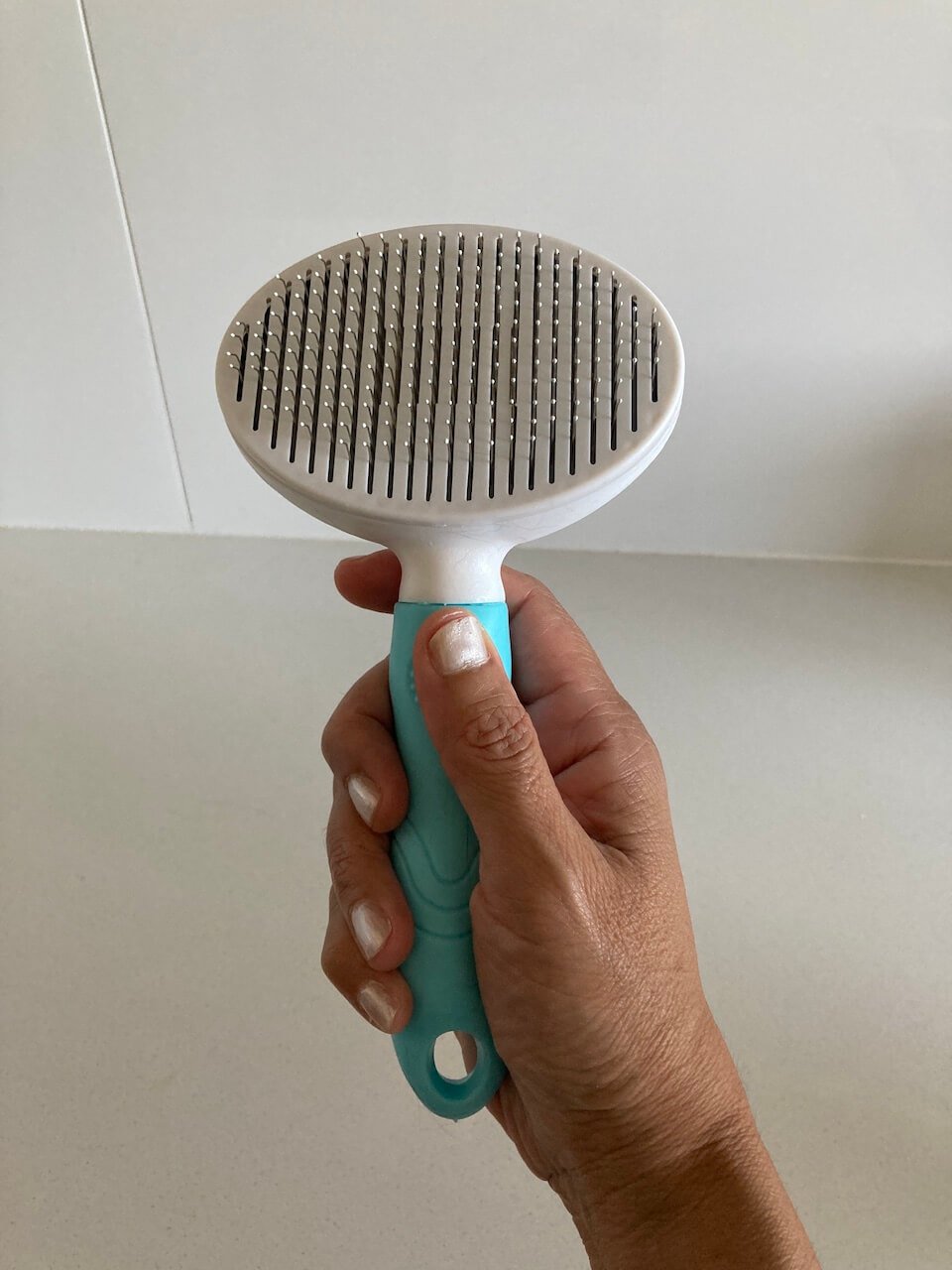 grooming brush for January post