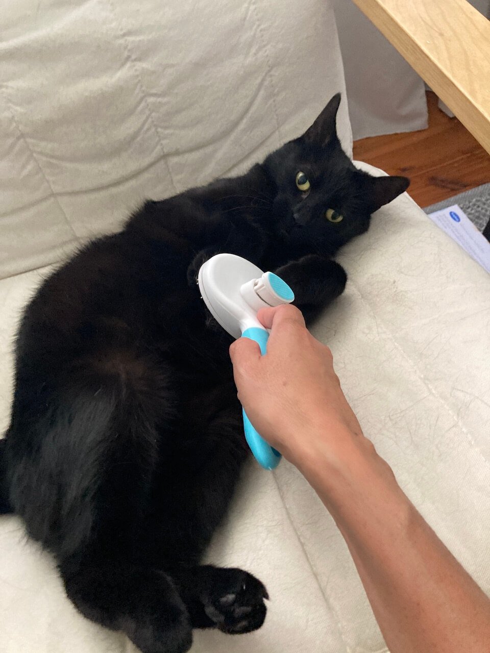 grooming brush