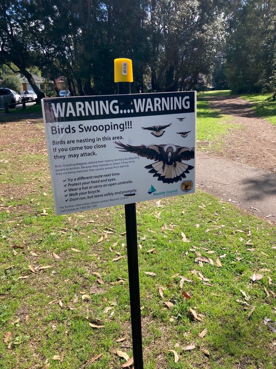 swooping birds sign