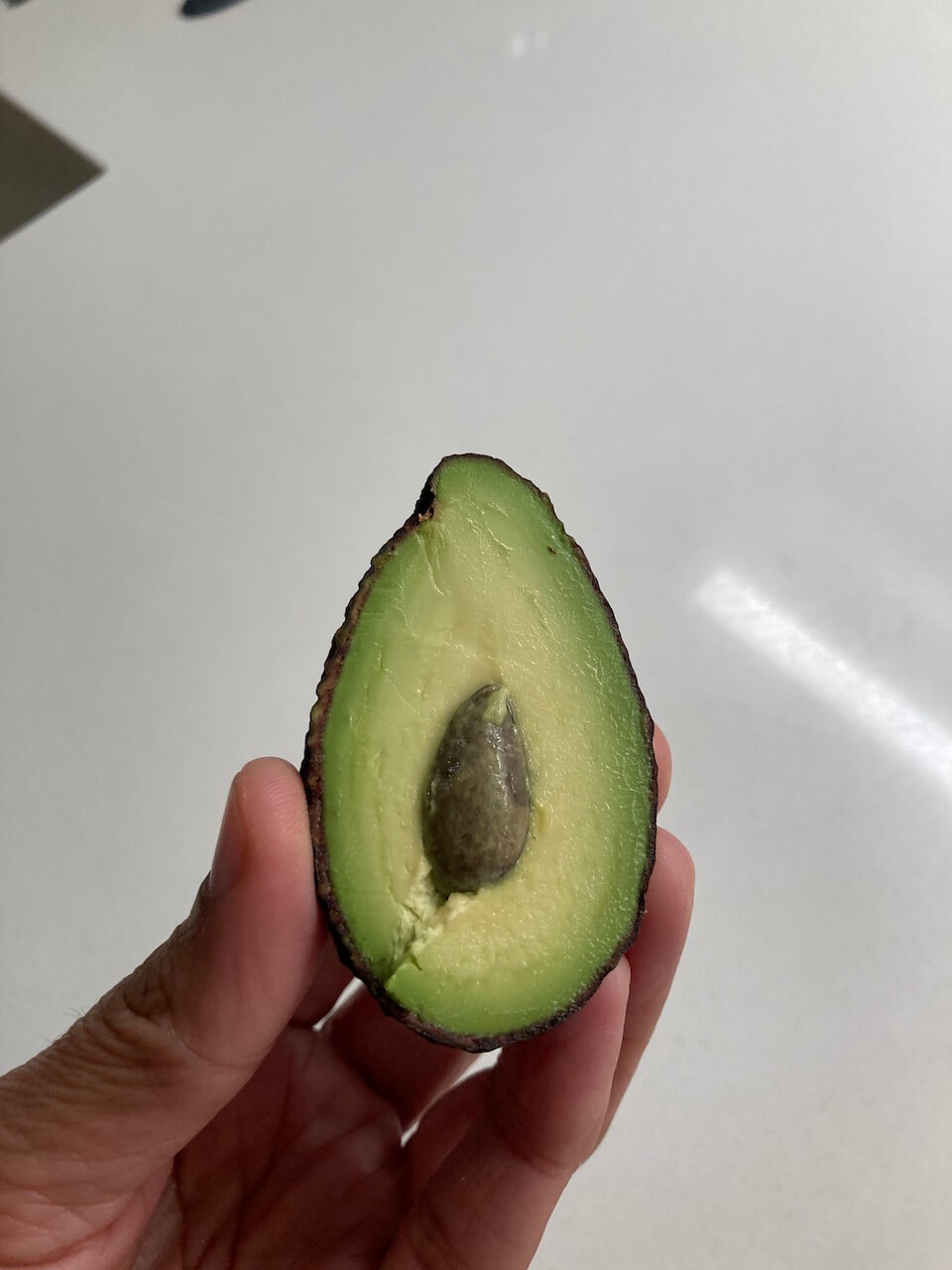 my favourite avocados 