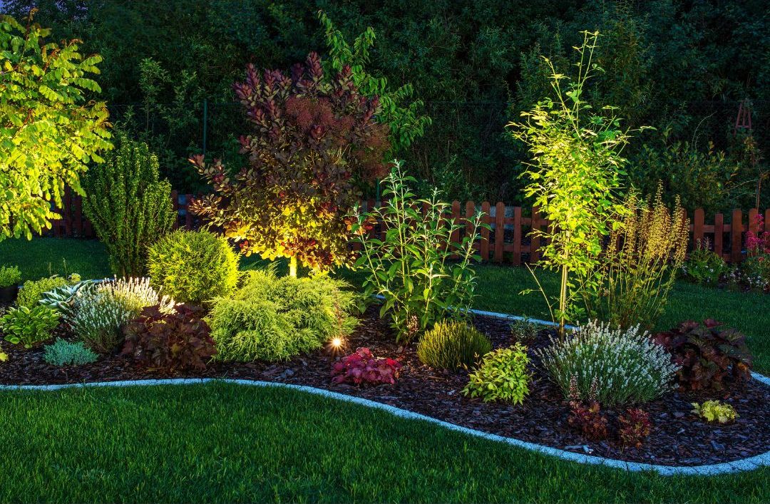 tips to refresh your outdoor living space-garden with lights