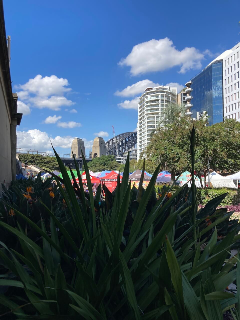 Sydney weekend activities - Kirribilli markets