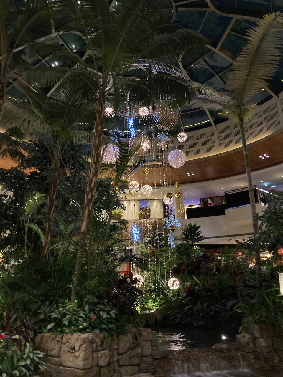 highlights from the weekend post - Canterbury Leagues Club