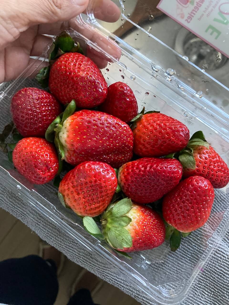 strawberries 