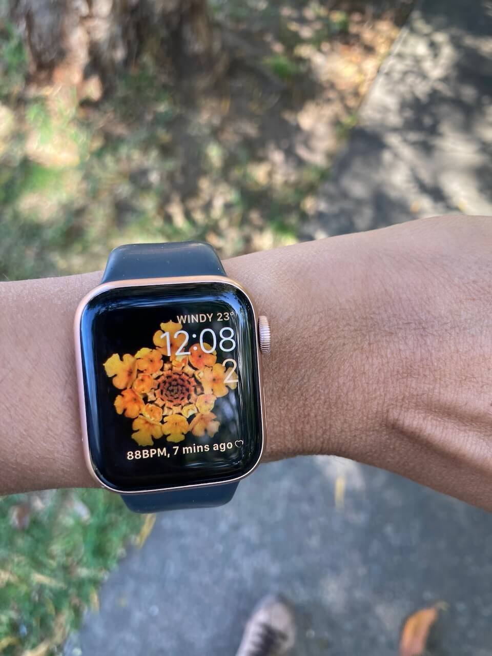 share favourites post - Apple watch 