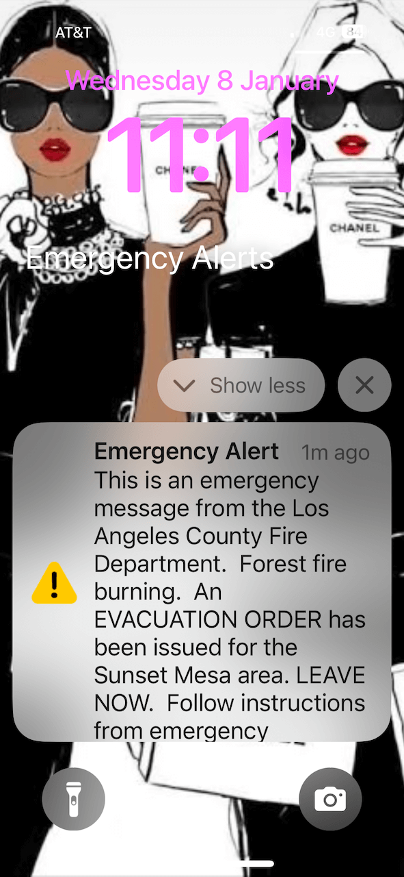 phone alert