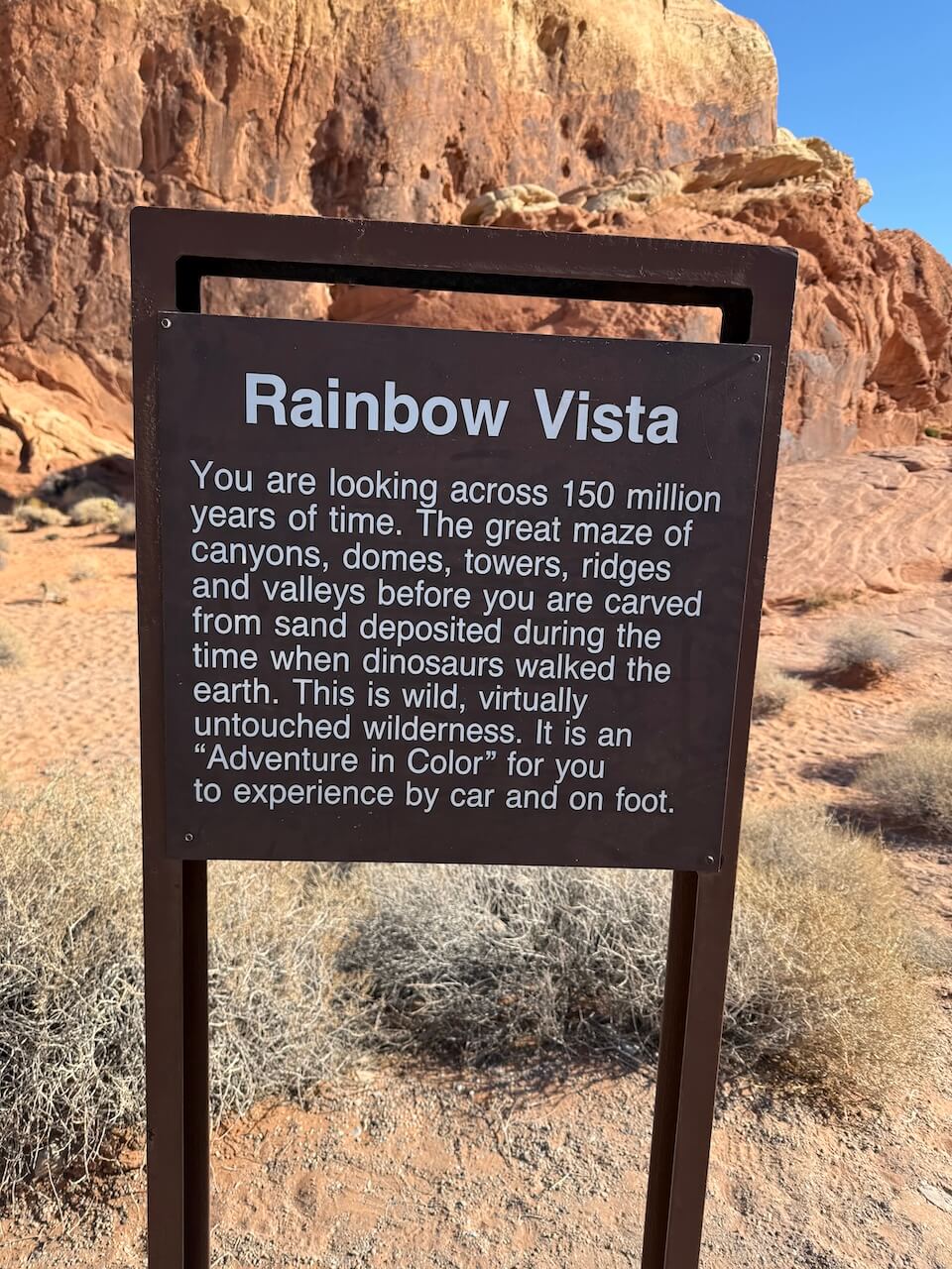 Rainbow Vista