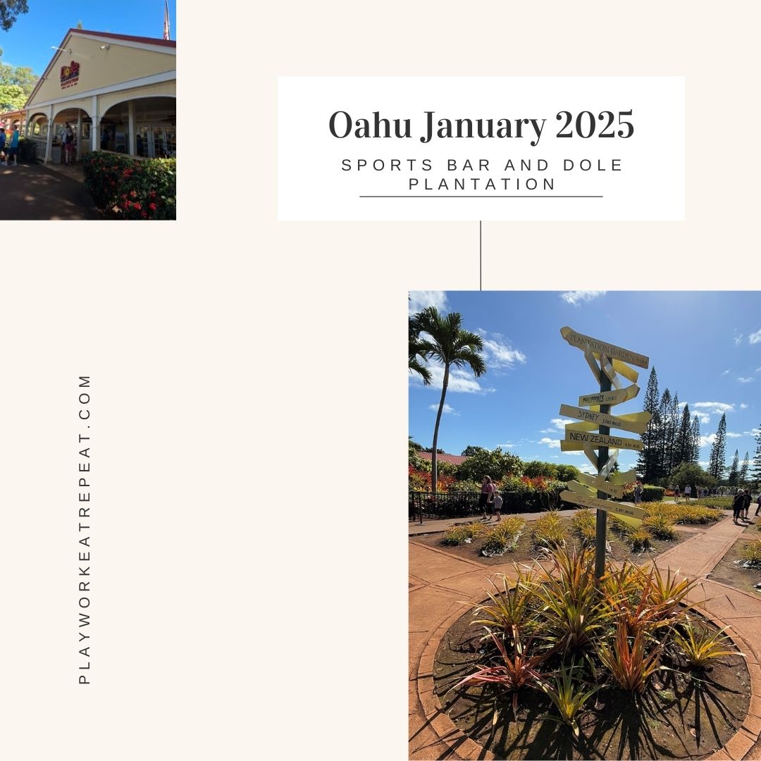 Oahu January 2025 – Sports Bar and Dole Plantation