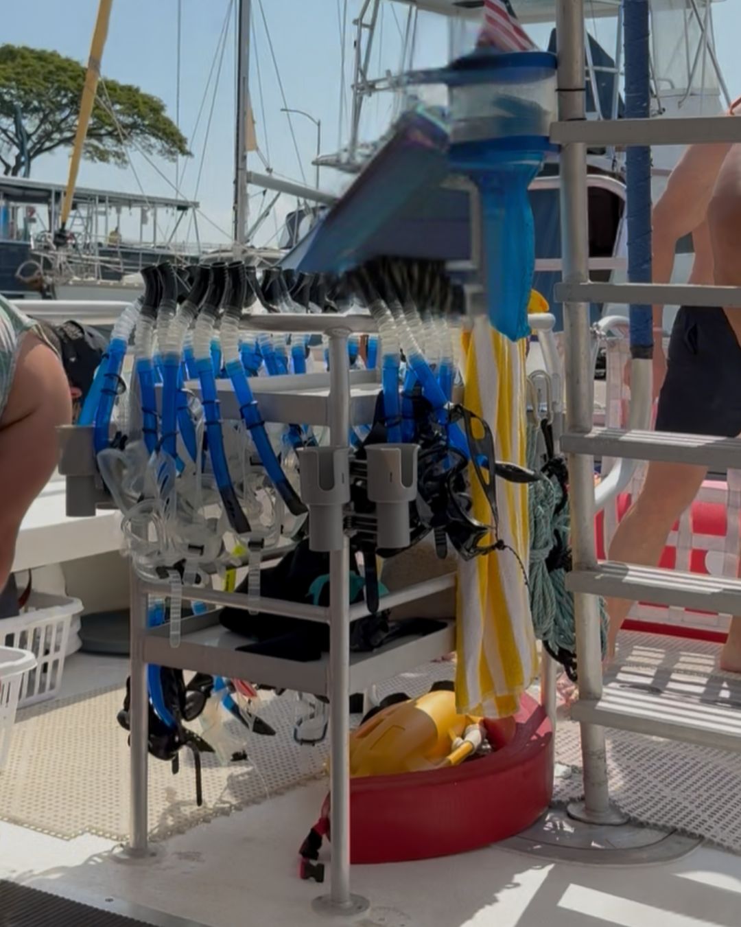 Living Ocean Tours-snorkelling gear