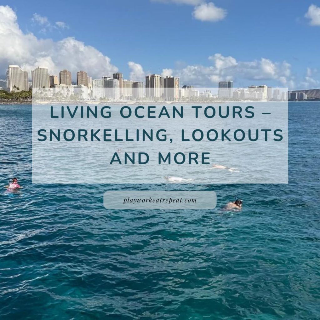 Living Ocean tours post