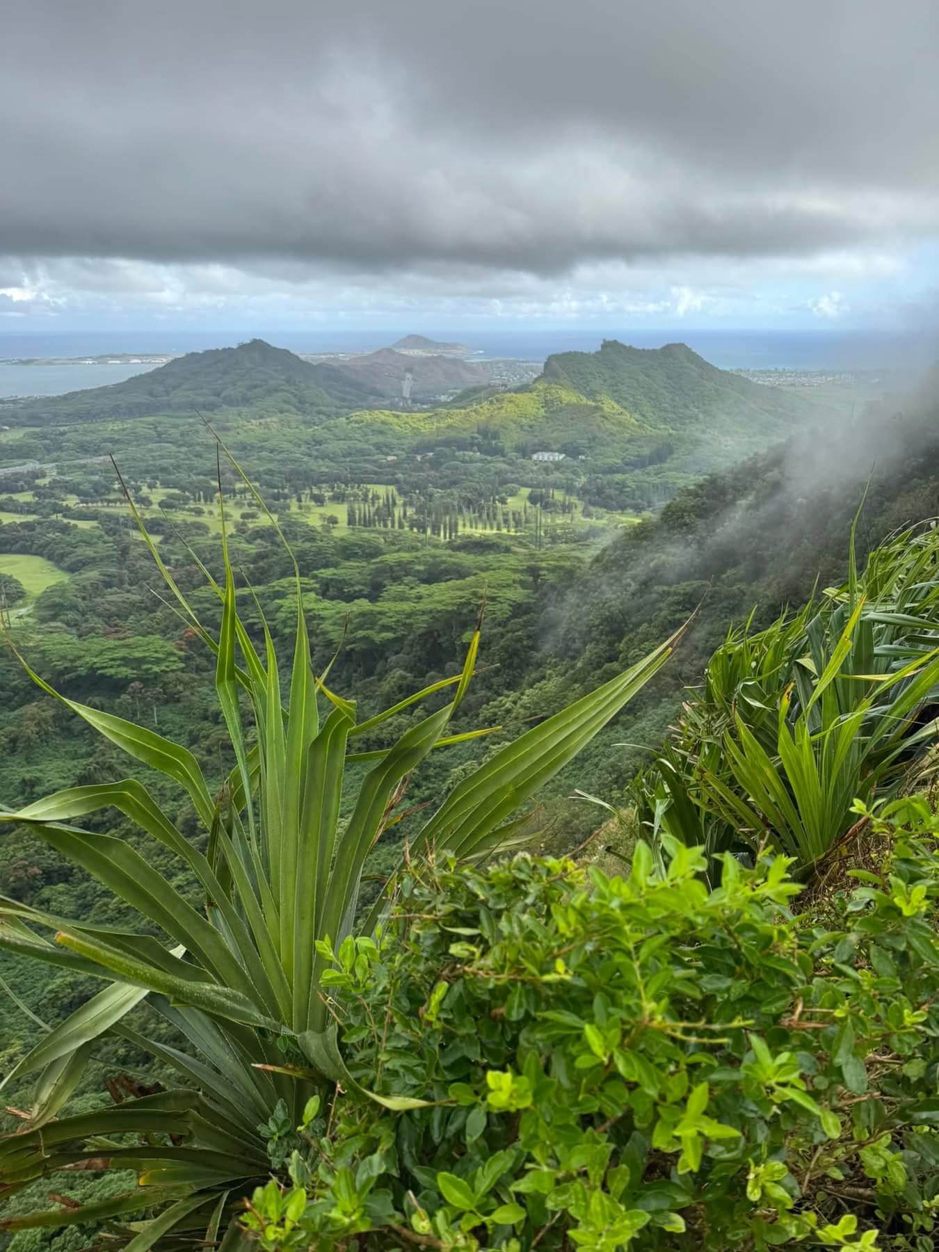 Nuʻuanu Pali Lookout
