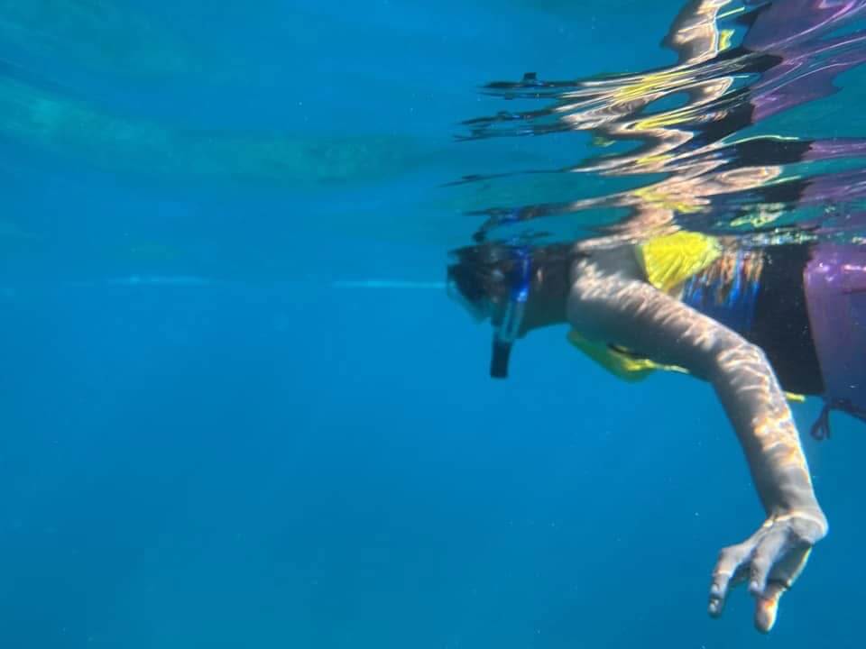 Living Ocean Tours – Snorkelling, Lookouts and More. In the water