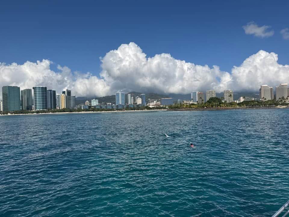 Living Ocean Tours -view of Waikiki