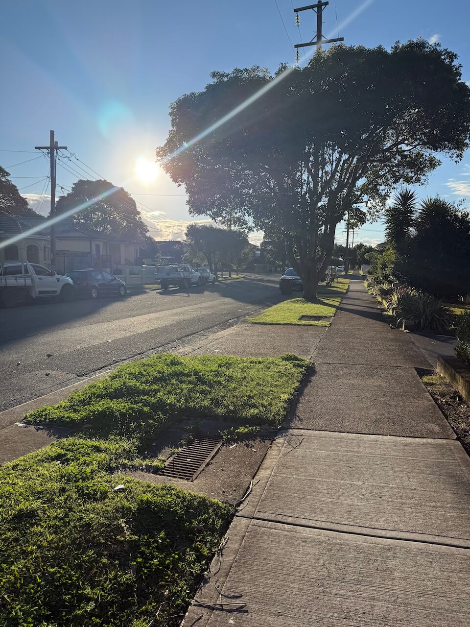 Hello weekend post-sunny day