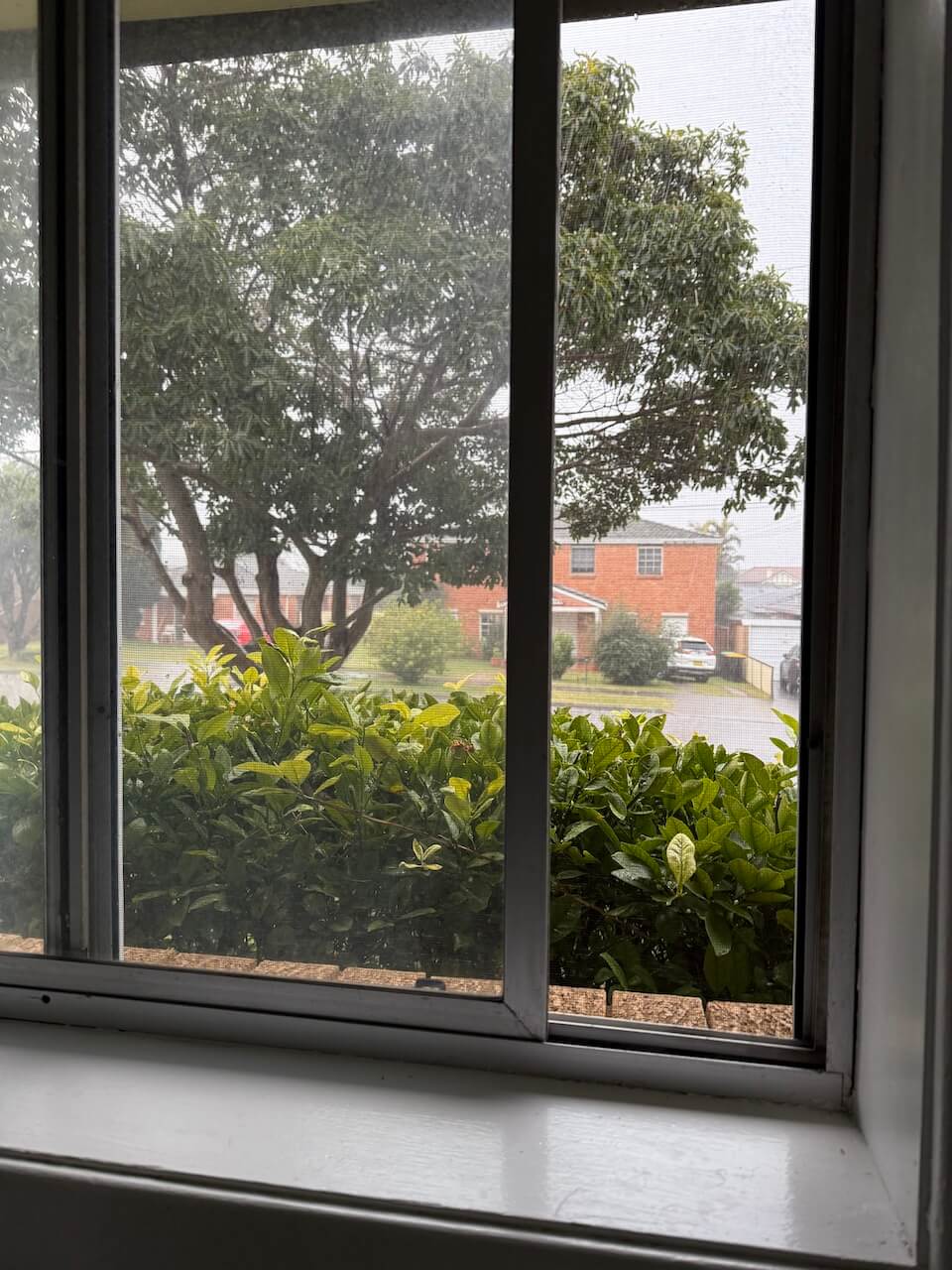 rainy weekend post-view from kitchen window