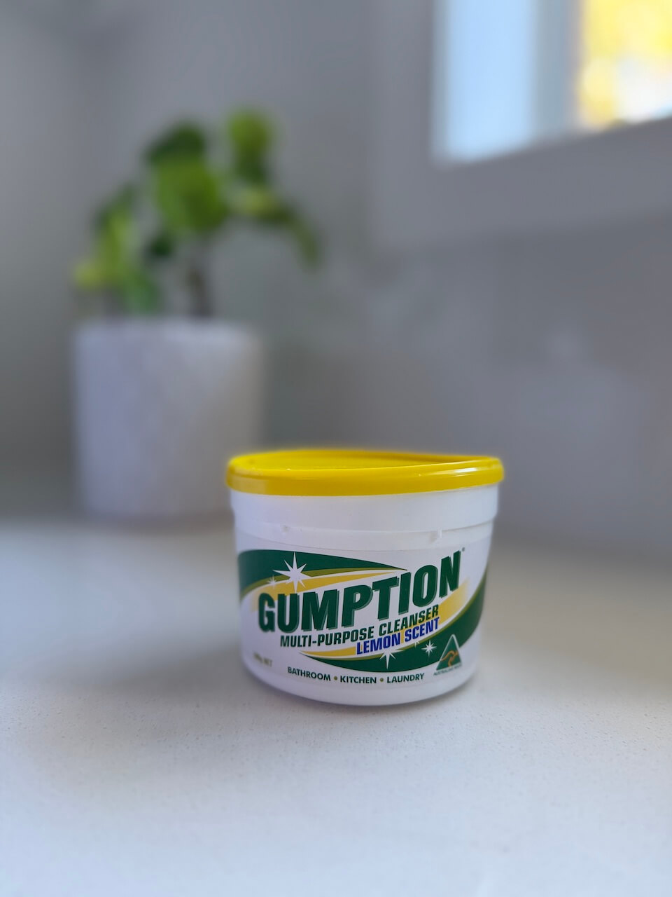 inside my caddy-a pot of gumption