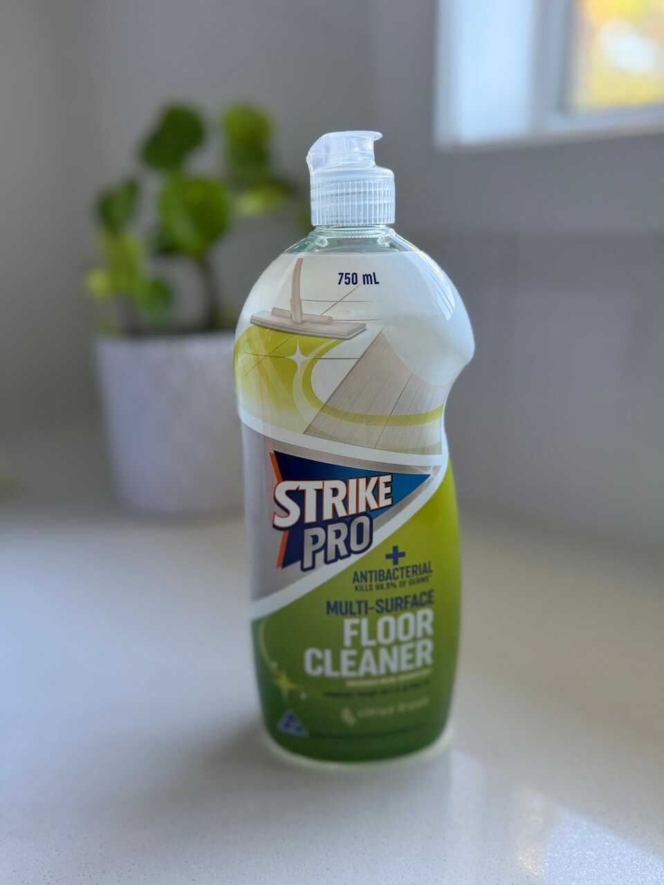 floor cleaner