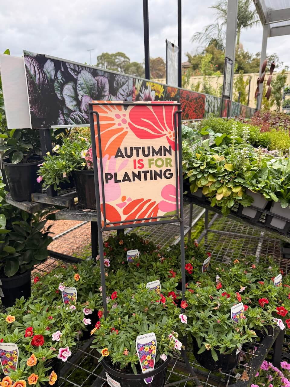 it's autumn post- flower power garden centre 