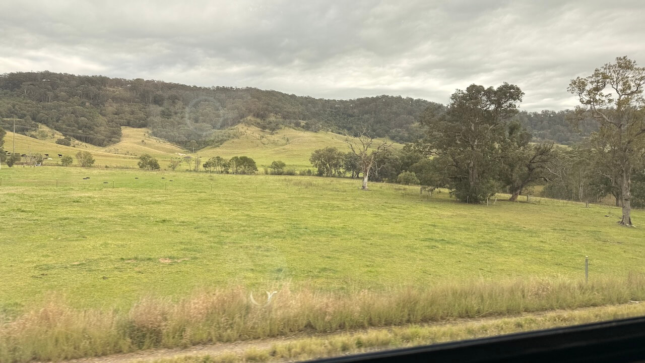 View from the train on the journey to Bowral