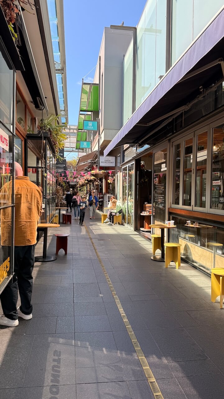 Shopping laneway with boutiques